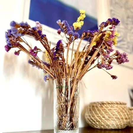 - & Surf - Peniche *