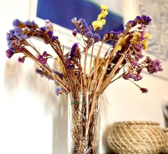 - Mer&surf - Peniche *